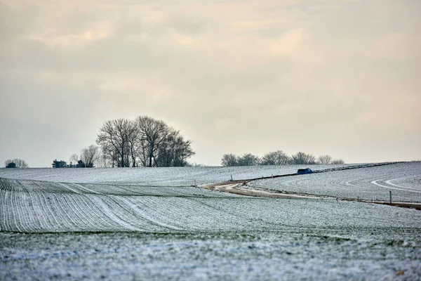 Wintertime Countryside Denmark Danish Farmland Wintertime — ストック写真