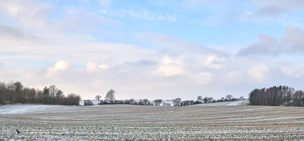 Wintertime Countryside Denmark Danish Farmland Wintertime — Stock fotografie