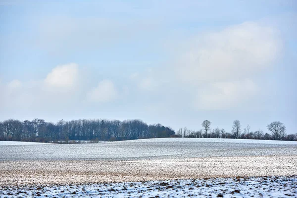 Wintertime Countryside Denmark Danish Farmland Wintertime — ストック写真