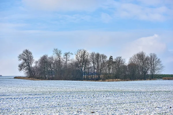 Wintertime Countryside Denmark Danish Farmland Wintertime — Stockfoto