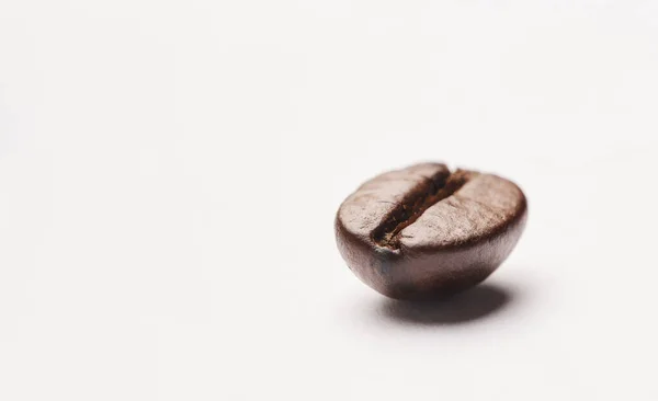 One Bean All Takes Studio Shot Coffee Bean White Background — Stock Fotó