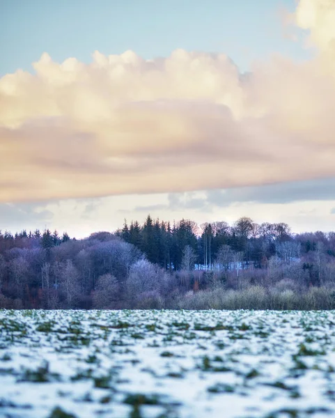 Зима Сельская Местность Дании Зимний Пейзаж Солнечный День Голубым Небом — стоковое фото