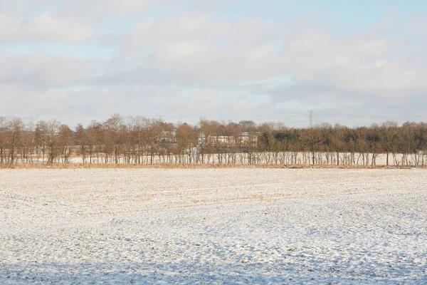 デンマークの田舎 青空が広がる晴れた日の冬の風景 — ストック写真