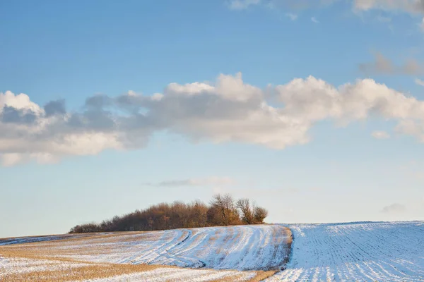 丹麦的农村地区 在阳光明媚的日子里 蓝天是冬季的风景 — 图库照片