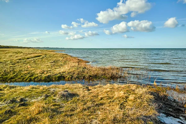 East Coast Jutland Denmark Nature Photos Denmark — 스톡 사진