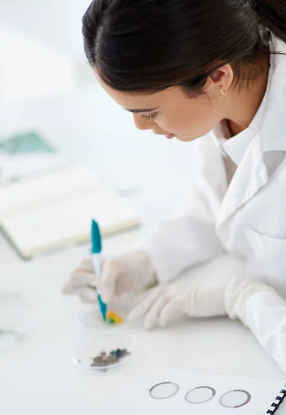 Now Easily Able Identify Samples Young Scientist Using Pen Mark — Fotografia de Stock