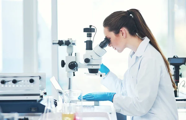 Lets See What Have Here Focused Young Female Scientist Looking — Stockfoto