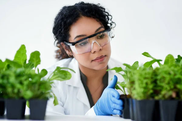 Have Hopes Achieve Greater Production Female Scientist Experimenting Plants — Stockfoto