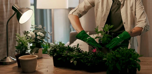 Shes Putting Her Green Fingers Work Unrecognizable Florist Potting Plants — 图库照片