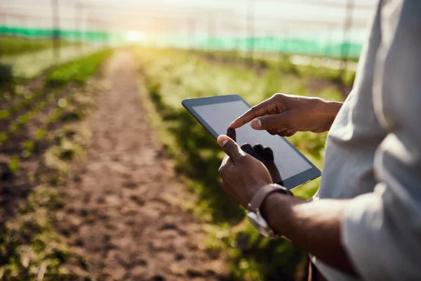 Technology Makes Farming Much Simpler Unrecognizable Male Farmer Using Tablet — kuvapankkivalokuva