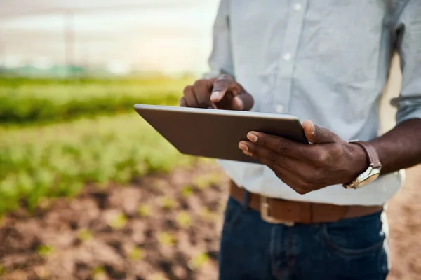 Its Easiest Way Run Farm Unrecognizable Male Farmer Using Tablet — Stok fotoğraf