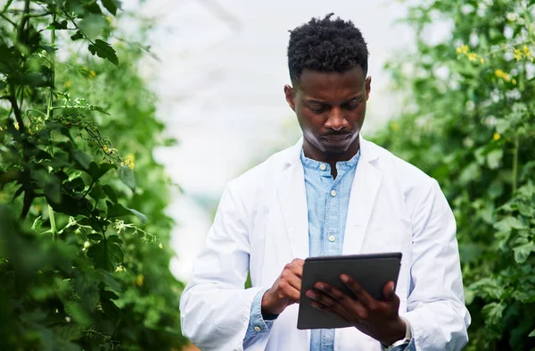 Recording Analyzing Data Part Job Handsome Young Botanist Using Digital — Stockfoto