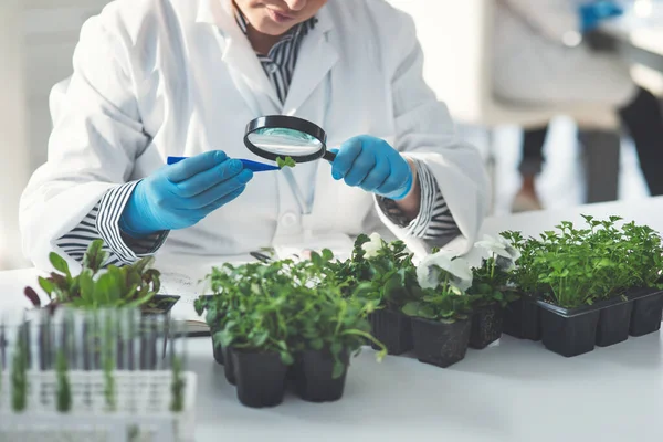 Lets See Bigger Picture Unrecognizable Female Scientist Analyzing Plant Sample — 스톡 사진