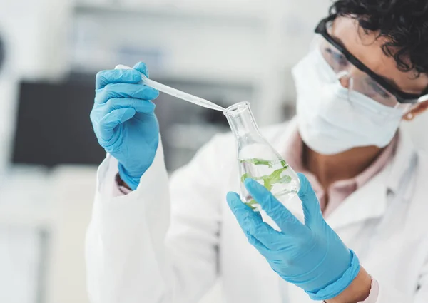 Its Interesting How Plant Reacting Environment Unrecognizable Female Scientist Dropping — Fotografia de Stock