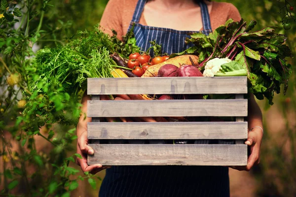 Mother Nature Always Provide Unrecognizable Female Farmer Carrying Crate Full — Foto Stock