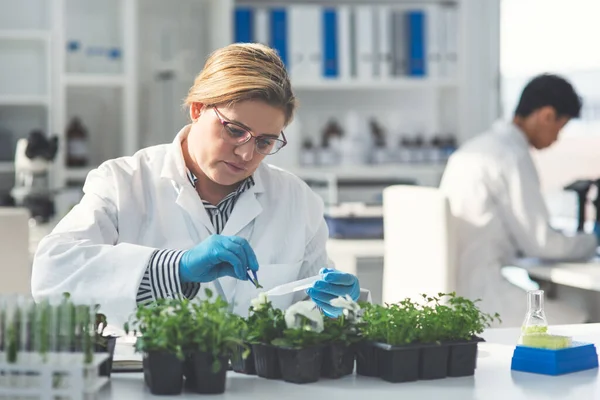 Cure Might Just Nature Itself Attractive Young Female Scientist Working — Fotografia de Stock