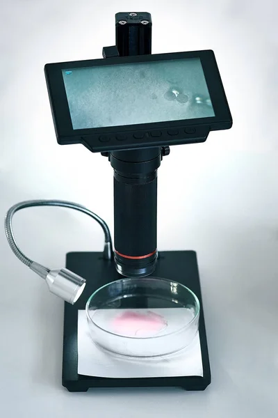 Digital Microscopes Game Changer Still Life Shot Digital Microscope Showing — Stockfoto