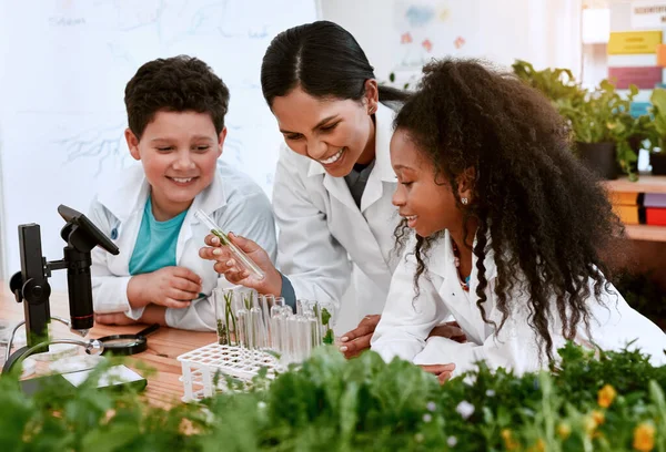 Knowledge Grows You Nurture Adorable Little Boy Girl Learning Plants — ストック写真