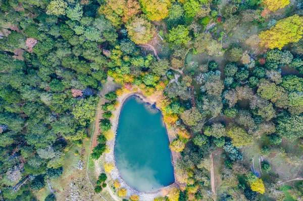 Youll always find peace when youre surrounded by nature. High angle shot of a lake in the middle of a beautiful forest