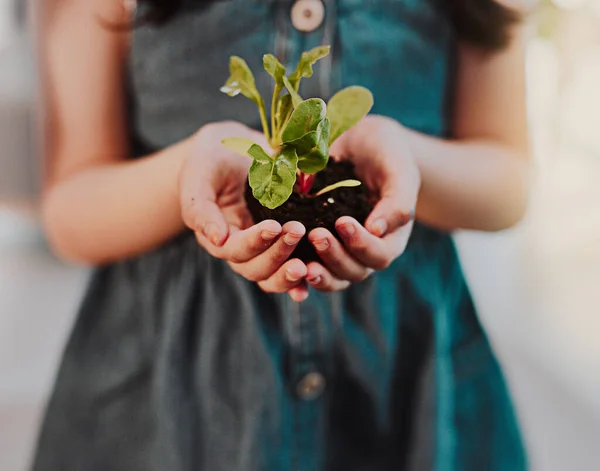 Learn Nurture Growth Nature Unrecognizable Young Girl Holding Plant Growing — 스톡 사진