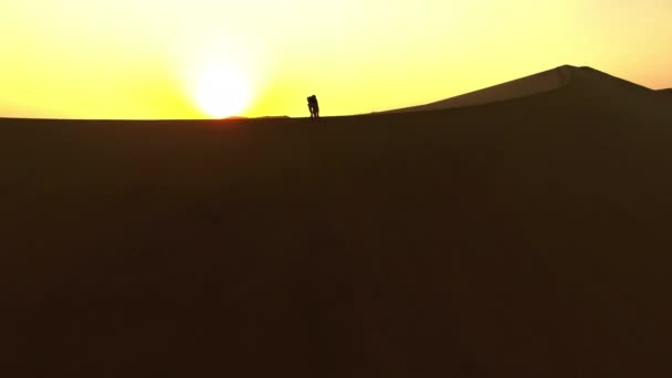 Success Winning Successful Man Climbing Sand Mountain Top Dune Golden — 비디오