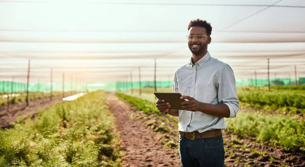 Modern farmer working on a tablet on a farm and checking plants growth progress with an online app or agriculture management software. Businessman doing inspection of carrot harvest or plantation.