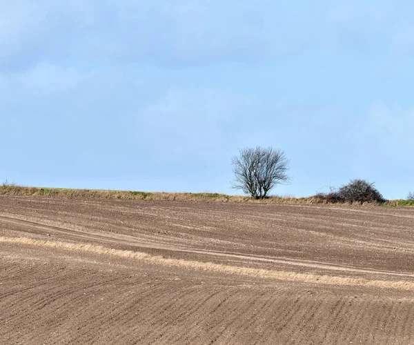 Early Springtime Countryside Denmark Photo Countryside Early Springtime — 图库照片