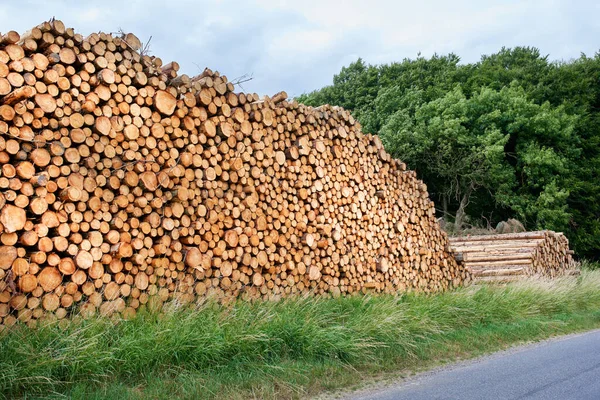 Woodpile - Lumber Industry. Lumber industry - lot of woodpiles
