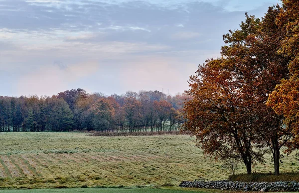 Autumn Fields Photo Vibrant Country Field Early Autumn — Stock Photo, Image