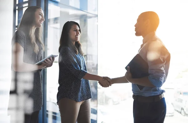 Handshake Greeting Business Women Entrepreneur Accountant Banker Tablet Portfolio Happy — Foto Stock