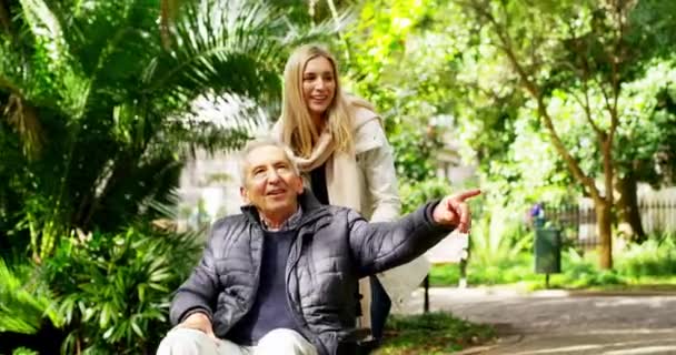 Senior Man Wheelchair Adult Daughter Bonding Spending Time Together Walking — Stockvideo
