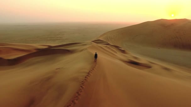 Aerial View Dry Hot Brown Sandy Desert Landscape Namibia Man — Stock videók