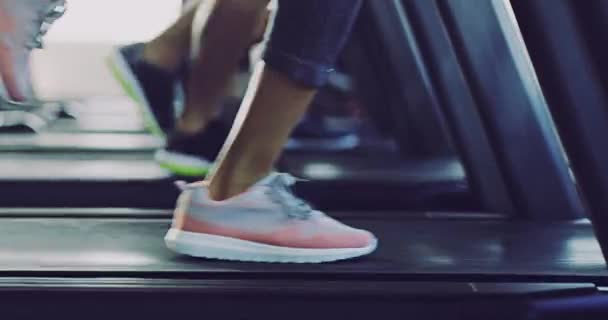 Ноги Бігають Біговій Машині Разом Група Критому Фітнес Центрі Показуючи — стокове відео