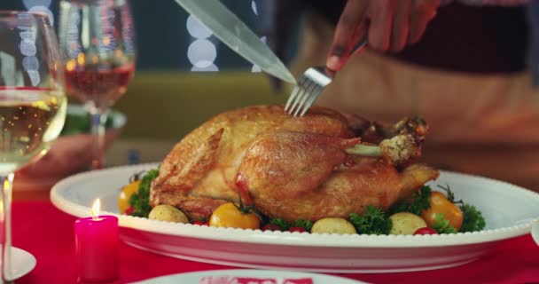 Closeup Person Cutting Turkey Lunch Dinner Meal Thanksgiving Celebration Living — Stock Video