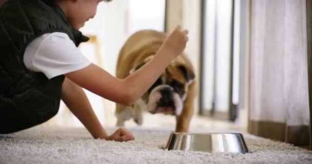 Young Boy Call Family Dog Lunch Snack His Food Bowl — Videoclip de stoc