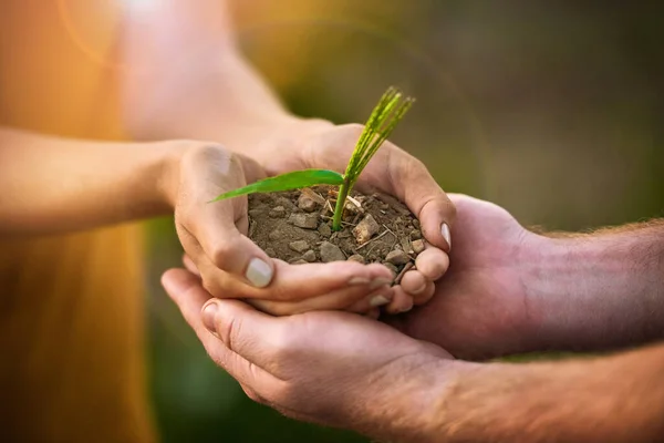 Caring People Holding Hands Seed Plant Soil Growth Environmental Awareness — Stock Photo, Image