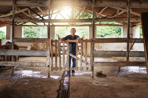 Ive built this farm from the ground up. Full length portrait of a mature farmer standing in the barn on his farm