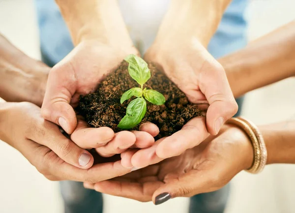 Life Truly Precious Closeup Shot Group People Holding Plant Growing — Stockfoto