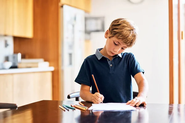 Homework Helps Develop Positive Study Skills Habits Young Boy Doing — Stok fotoğraf