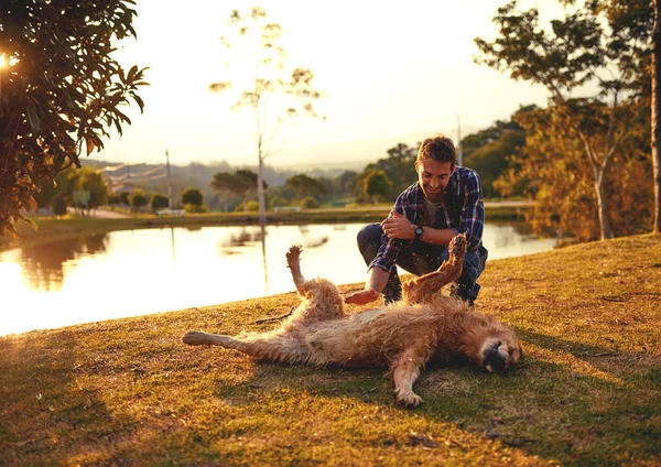 Loves Belly Rubs Full Length Shot Handsome Young Man Playing — Stok fotoğraf