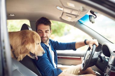 Making sure my human drives properly. a handsome young man sitting in the car with his golden retriever during a road trip