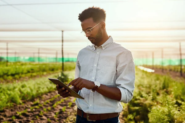 Male Farmer Planning Online Strategy Tablet Looking Farm Growth Outdoors — Stok fotoğraf