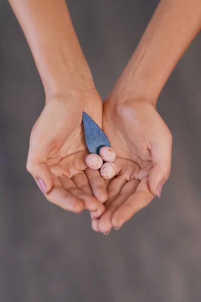 Small Things Life Unrecognizable Woman Holding Speckled Eggs Blue Leaf — 스톡 사진