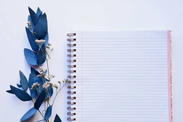 Start from the top and work down. Studio shot of a diary and branch with blue leaves placed against a grey background