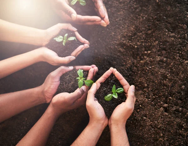 Now Perfect Time Start Planting Group Unrecognizable People Holding Plants — 图库照片