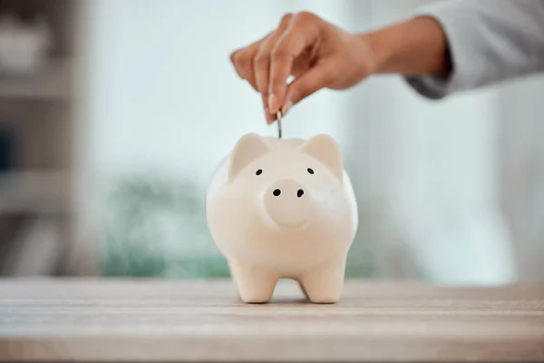 Budget Money Piggy Bank Investment Your Future Plans Goals Closeup — Foto de Stock