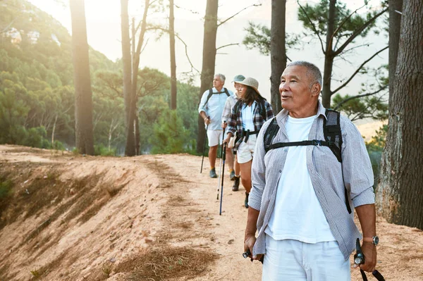 Hiking, old and adventure seeking Asian man staying active, healthy and fit in twilight years. Tourists or friends travel doing recreation exercise and explore nature on wellness getaway or retreat.