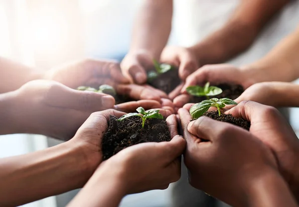 Success Something You Plan Group Unrecognizable People Holding Plants Growing — Fotografia de Stock