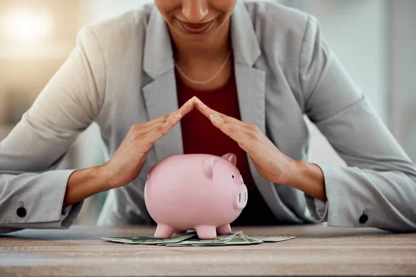 Investment Growth Money Saving Financial Career Planning Piggybank Cash Corporate — Fotografia de Stock