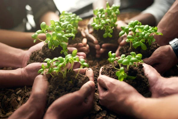 Командная Работа Фундамент Роста Бизнеса Группа Людей Выращивающих Растения Почвы — стоковое фото